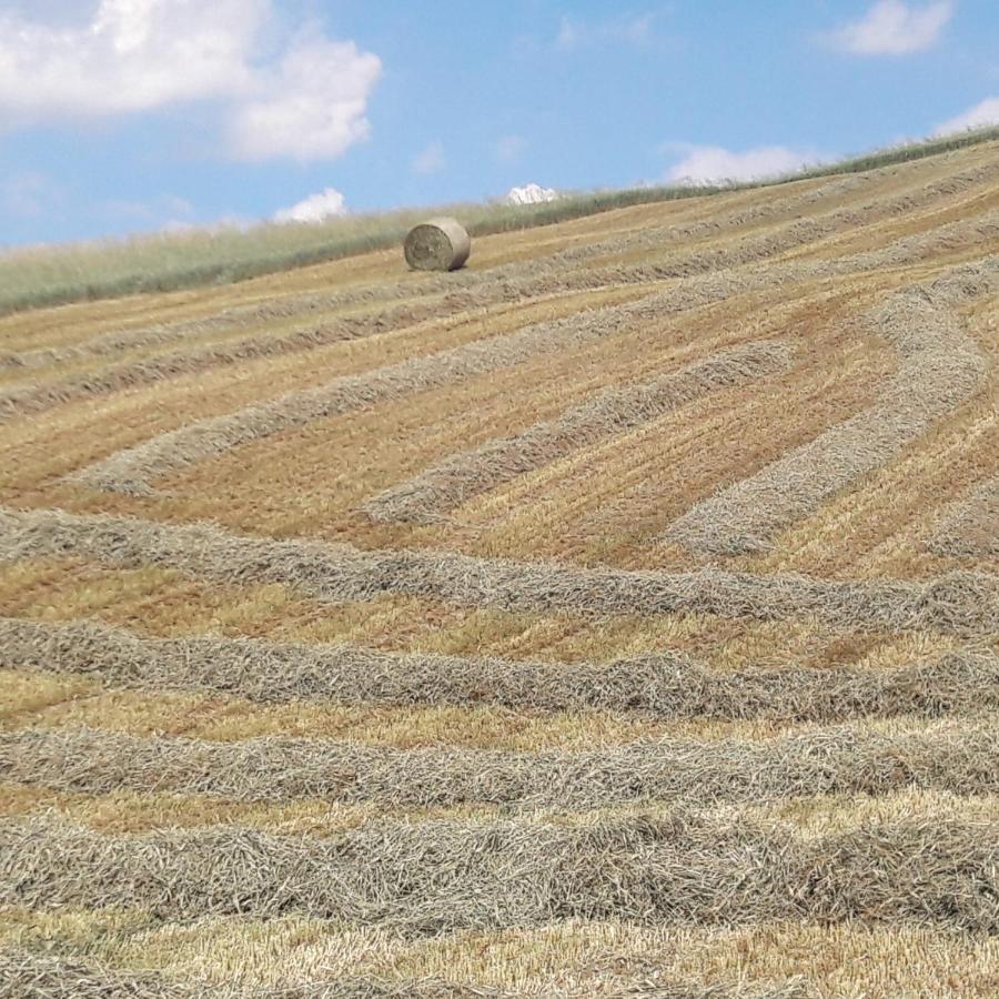 Agriturismo Il Colore Del Grano San Vittore  Dış mekan fotoğraf