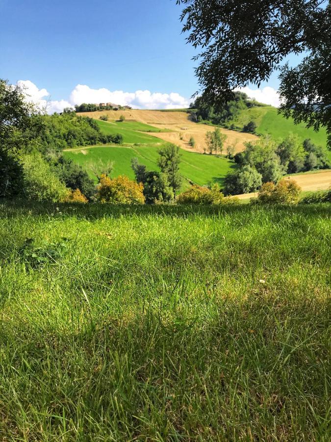 Agriturismo Il Colore Del Grano San Vittore  Dış mekan fotoğraf