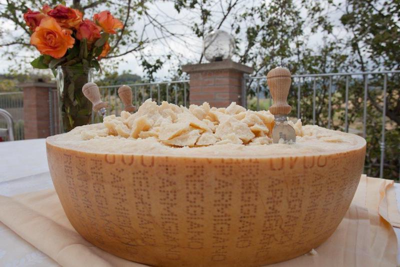 Agriturismo Il Colore Del Grano San Vittore  Dış mekan fotoğraf