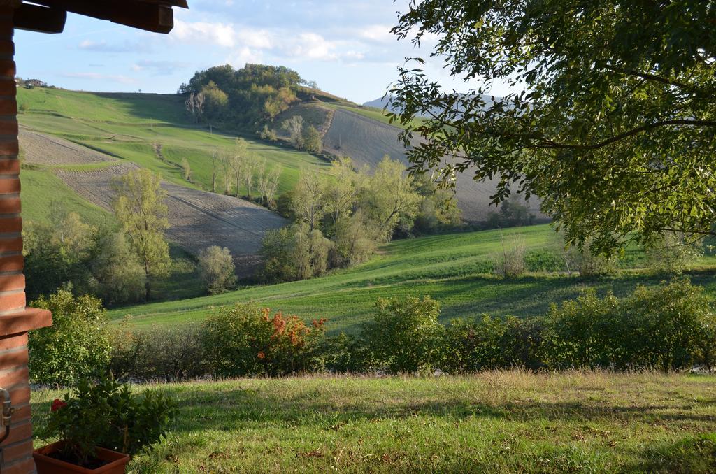 Agriturismo Il Colore Del Grano San Vittore  Dış mekan fotoğraf